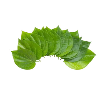 A cluster of fresh green Betel leaves arranged in a semi-circular fan shape on a solid, light beige background. 