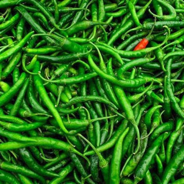 A close-up pile of fresh green chili peppers filling the frame, with a small red chili pepper visible among the green ones.