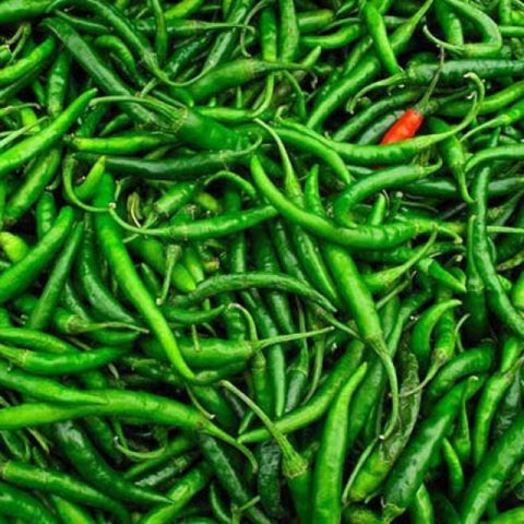 A close-up pile of fresh green chili peppers filling the frame, with a small red chili pepper visible among the green ones.